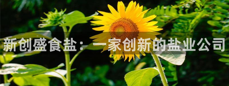 威九国际女