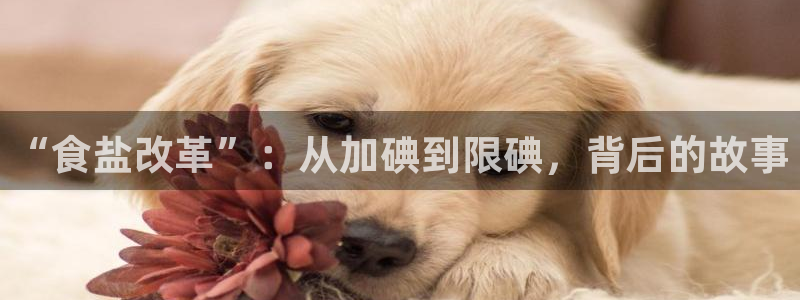 威九国际官网登录入口下载