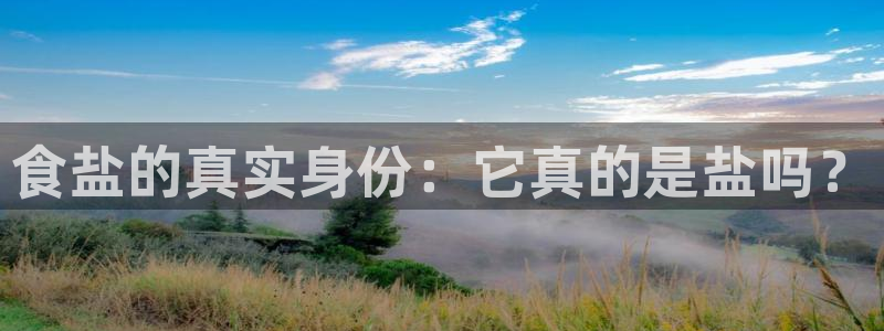 威九国际官网登录入口网址