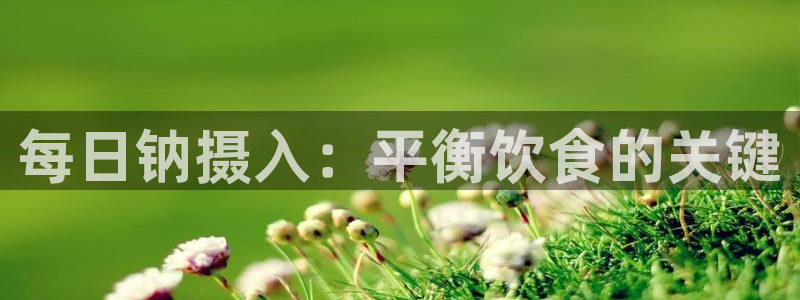 威九国际v96242cc官网版