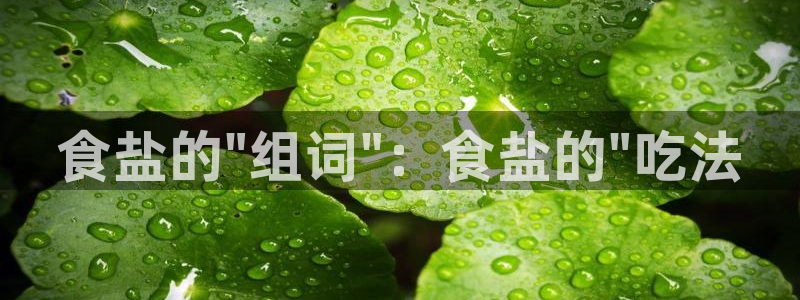 威九国际网站链接