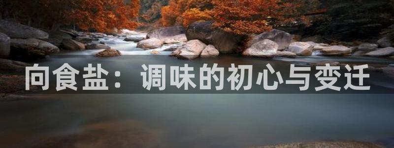 威九国际官网登录入口网站