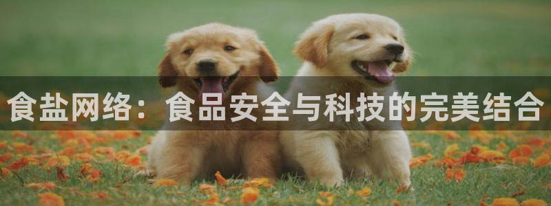 威九国际女主名字