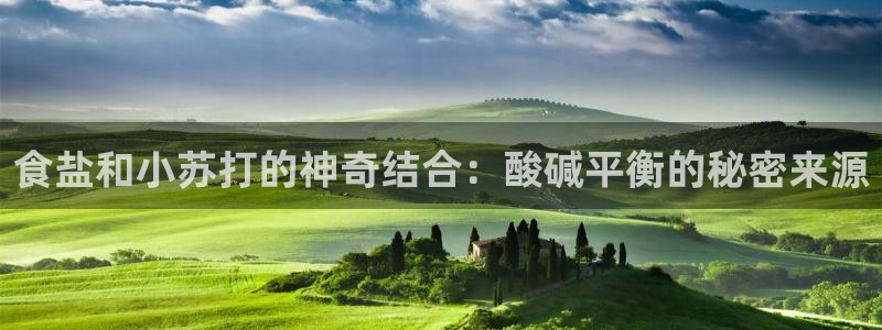 威九国际78mb官网