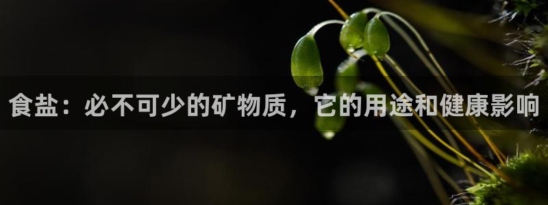 威九国际游戏app(网站)