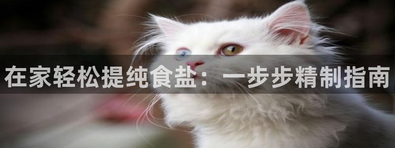 威九国际女儿的朋友