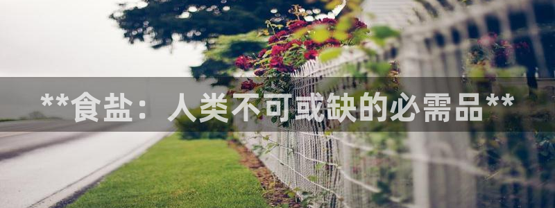 威九国际女艺人