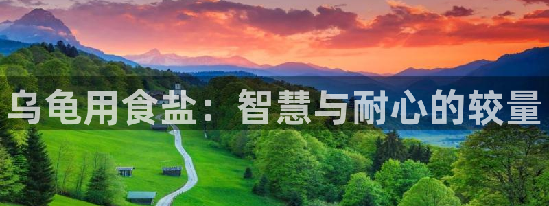 威九国际66m66大陆