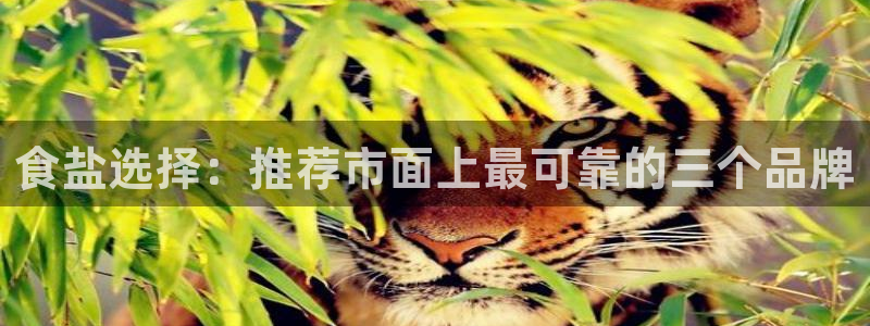 威九国际app客服电话