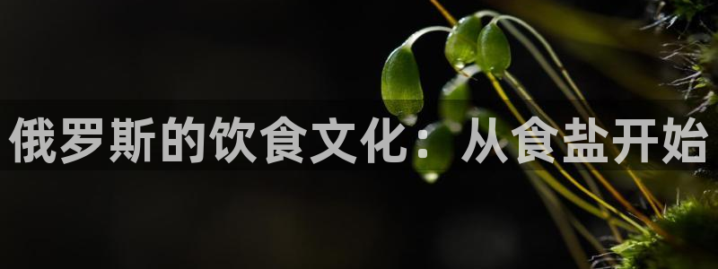 威九国际APP大全