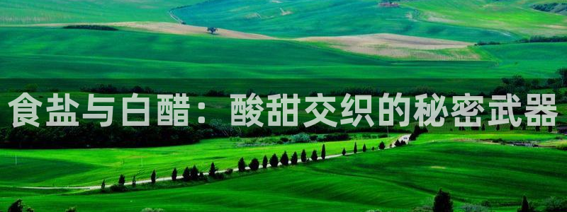 威九国际APP大全