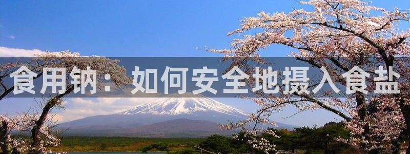 威九国际客服电话号码是多少