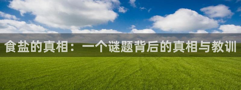 威九国际APP大全