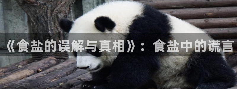 威九国际网站更新