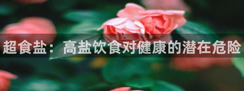 威九国际演员2023年最新作品